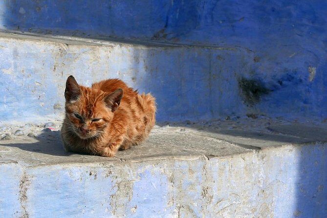 Chefchaouen Day Trip from Fes - FAQ