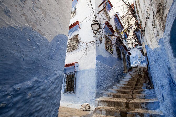 Chefchaouen day trip from Fes - The Sum Up