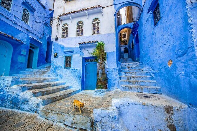 Chefchaouen Day Trip from Tangier : private and luxury - Practical Details