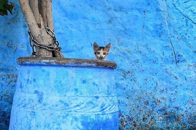 Chefchaouen Day Trip from Tangier : private and luxury - The Sum Up