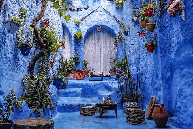Chefchaouen private full day excursion & panoramic of Tangier - Key Points