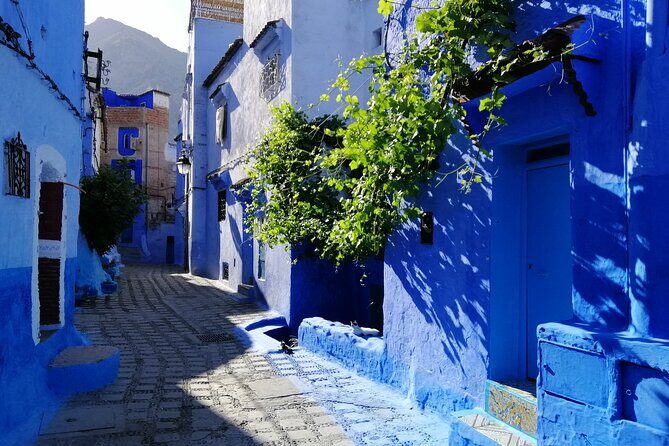 Chefchaouen private full day excursion & panoramic of Tangier - Final Thoughts: Is This Tour Right for You?