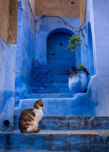 Chefchaouen tour guide - Who Will Appreciate This Tour?