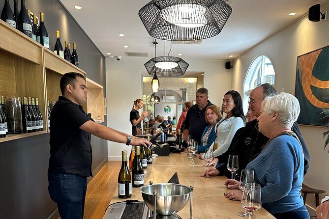 Chefs Private Martinborough Wine Tour with lunch from Wellington - Final Thoughts
