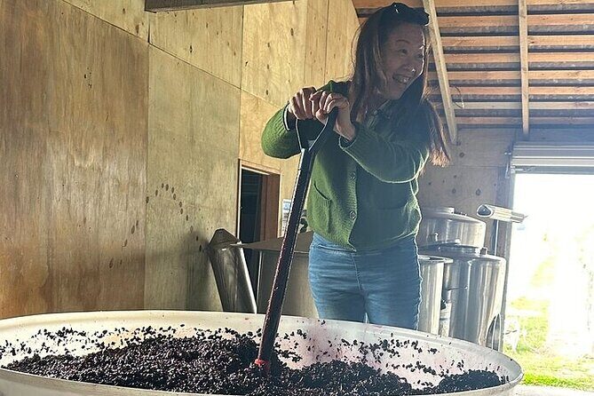 Chef's Private Otago Wine tour with gourmet lunch from Queenstown - Key Points