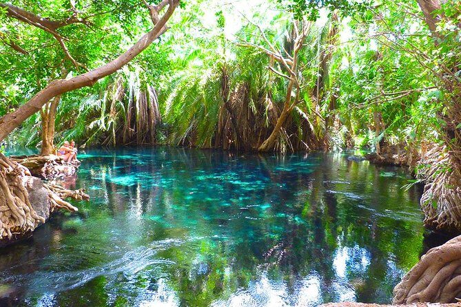 Chemka Hot Springs Tour from Moshi - Key Points