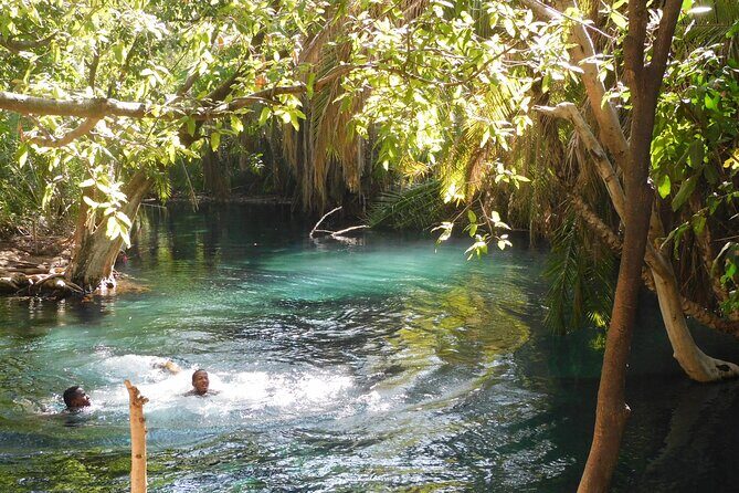 Chemka (Kikuletwa) Hot Springs, Tanzania - Exploring the Chemka (Kikuletwa) Hot Springs: A Refreshing Tanzanian Escape