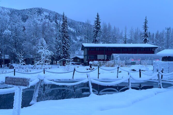 Chena Hot Spring Day Tour - Who Should Consider This Tour?