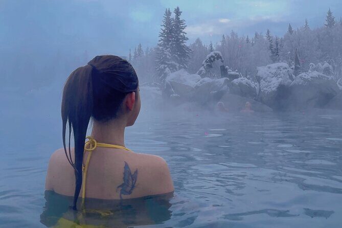 Chena Hot Spring Day Trip - Key Points