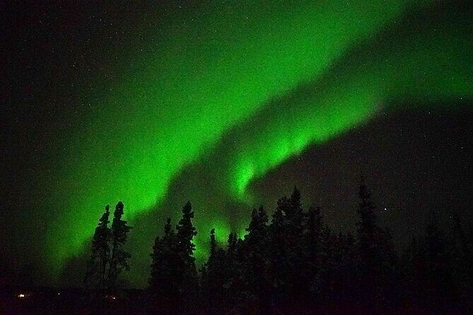 Chena Hot Springs Aurora Tour - Final Thoughts: Who Is This Tour For?