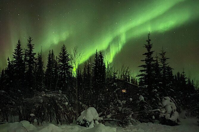 Chena Hot Springs Northern Lights Aurora Borealis From Fairbanks - An In-Depth Look at the Experience