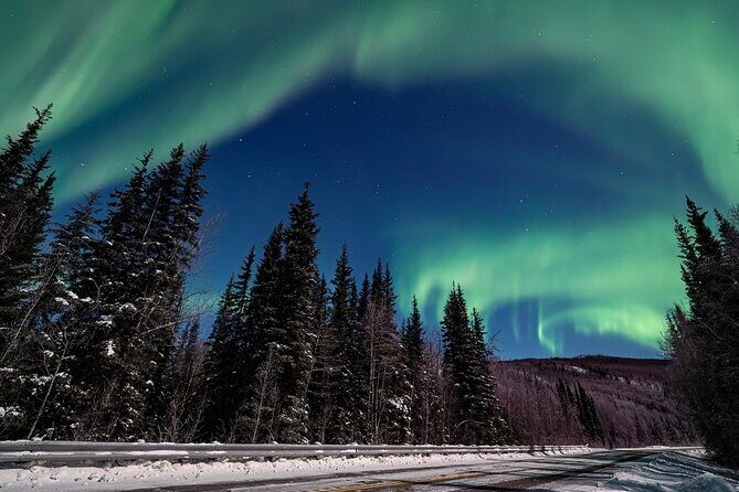 Chena Hot Springs plus Aurora Chase Tour - Key Points