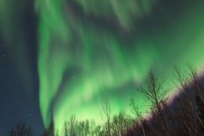 Chena Hot Springs plus Aurora Chase Tour - Who Will Love This Tour?