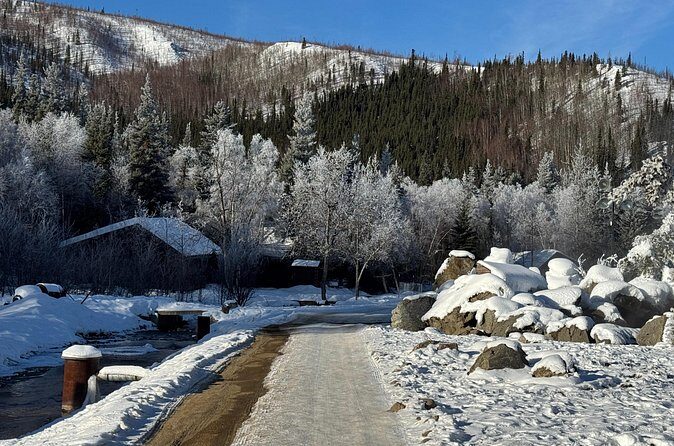 Chena Hot Springs Small Group Tour - Practical Tips for Your Hot Springs Day