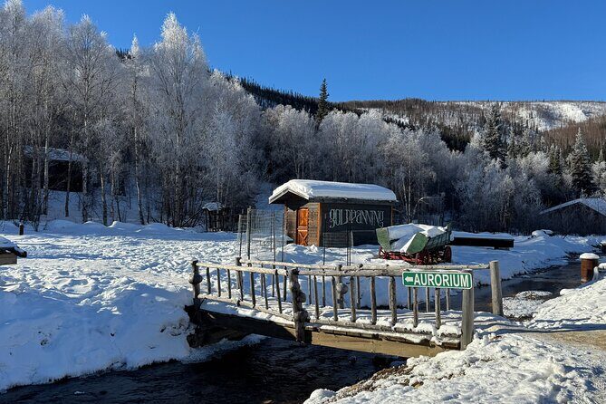Chena Hot Springs Small Group Tour - The Sum Up