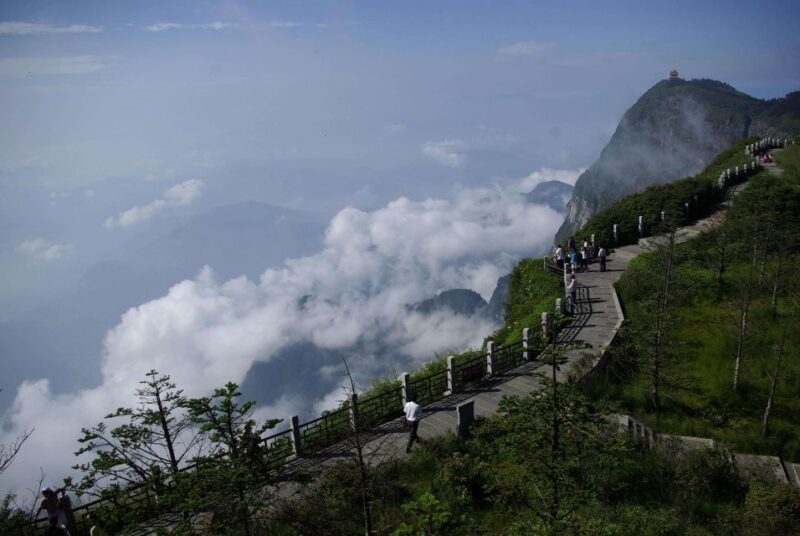 Chengdu: 2 Days Panda, Leshan Buddha and Emeishan Group Tour - Guided Service and Flexibility