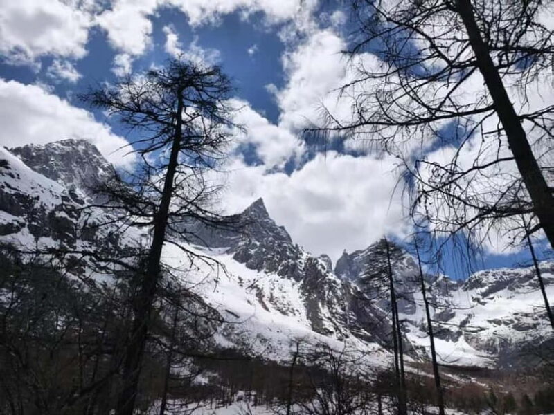 Chengdu: Bipenggou Scenic Area Private Tour - The Bird’s Nest: Geological Wonder