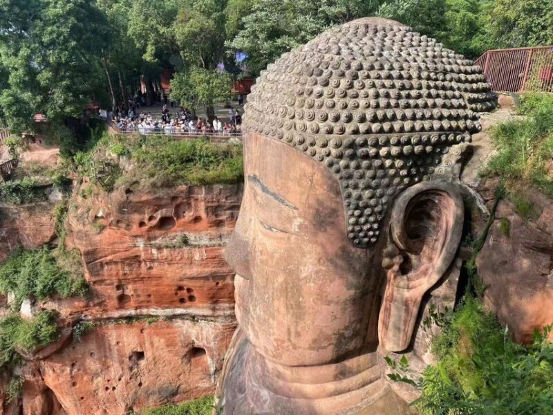 Chengdu: Chengdu Day Trip with Giant Panda and Leshan Buddha - Who Is This Tour Best For?