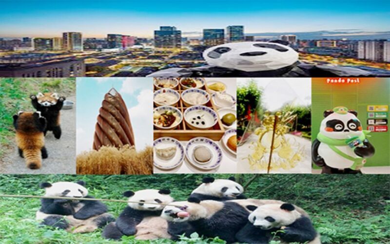 Chengdu downtown essences private day tour - Who Should Consider This Tour?