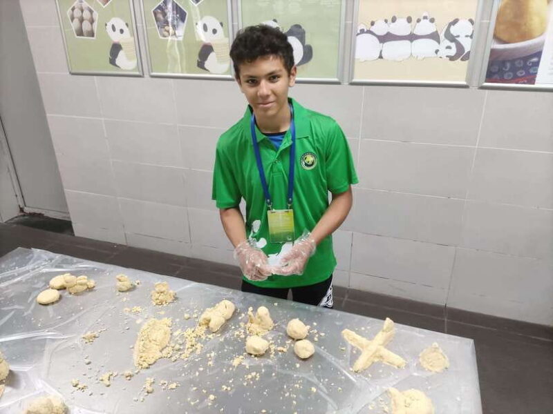 Chengdu: Dujiangyan Panda Volunteer Program with Lunch - Key Points