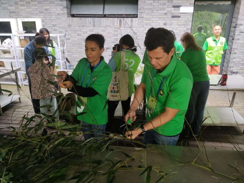 Chengdu: Dujiangyan Panda Volunteer Program with Lunch - The Itinerary in Detail
