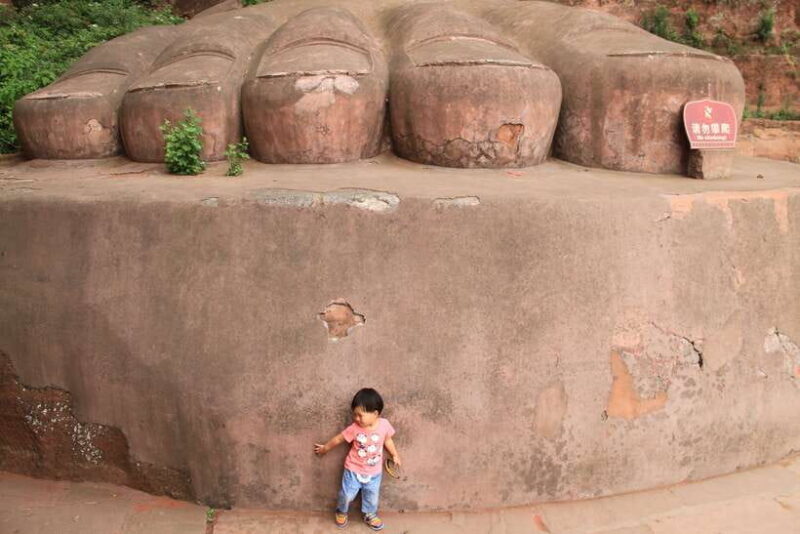 Chengdu: Giant Panda and Leshan Buddha Sall Group Day Tour - The Experience of the Guided Tour