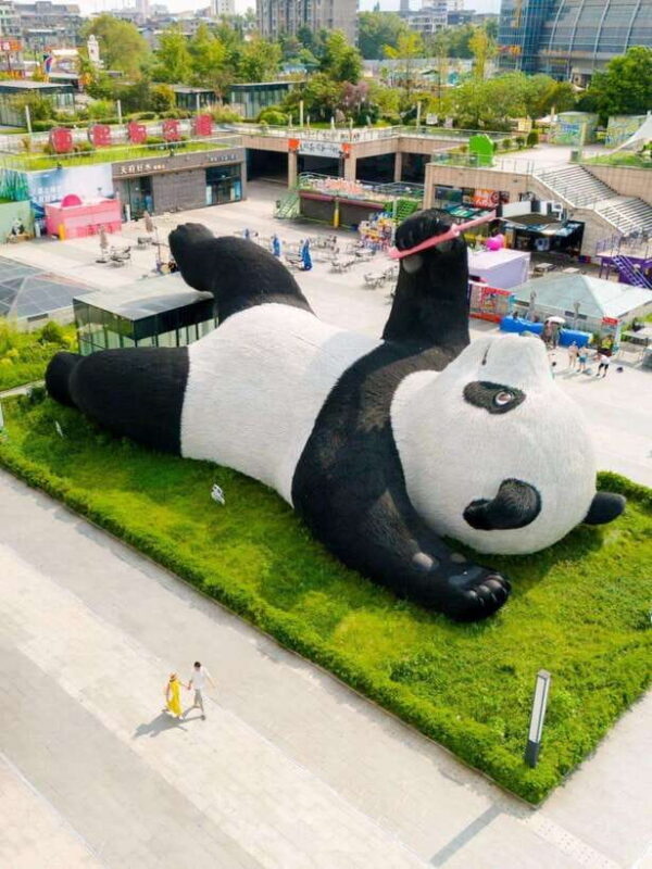 Chengdu: Hidden Wonders Day Tour with Wolong Panda Base - Final Thoughts on Value and Suitability