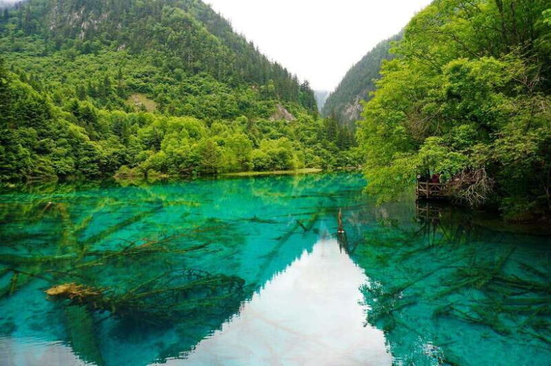 Chengdu & Jiuzhaigou Enchanted Landscapes Tour - An In-Depth Look at the Experience