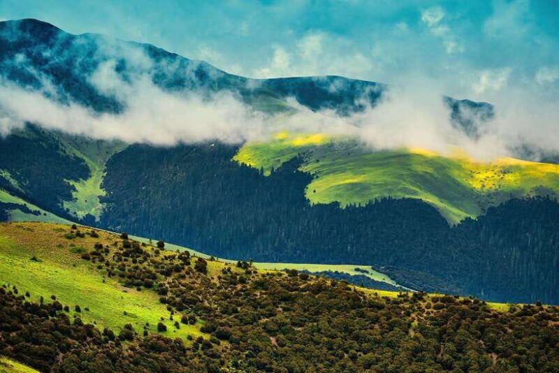 Chengdu & Jiuzhaigou Enchanted Landscapes Tour - Authentic Experiences and Traveler Insights