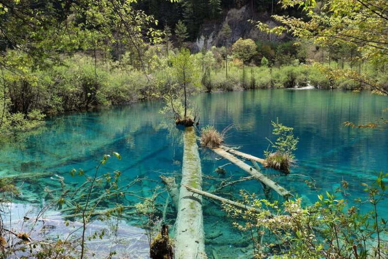 Chengdu & Jiuzhaigou Enchanted Landscapes Tour - Practical Tips for Participants