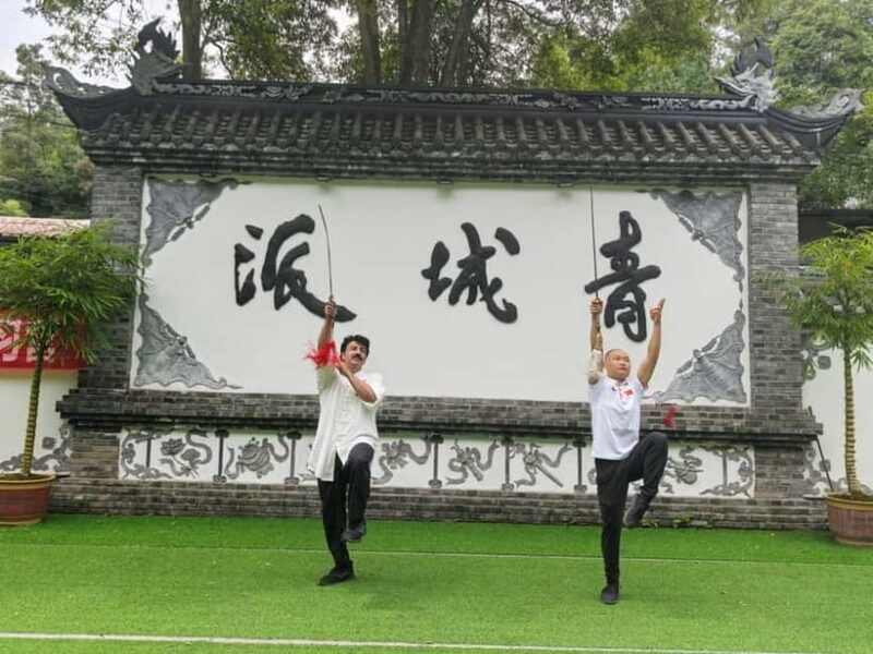 Chengdu: Kung Fu Panda Tour, Tai Chi,Martial Arts&Panda base - Practical Tips for Travelers