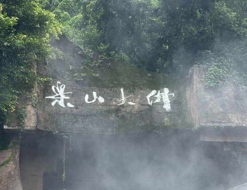 Chengdu: Leshan Grand Buddha Full-Day Private Trip - Who This Tour Is Perfect For