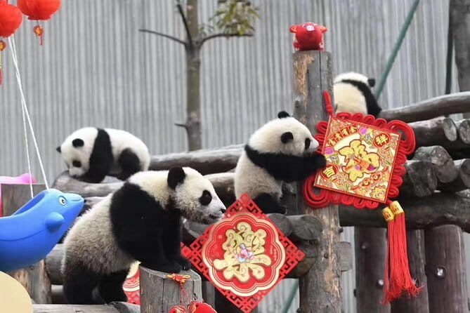 Chengdu Night Cruise Tour including Hotpot Dinning Experience - The Value of This Tour