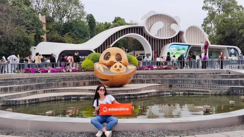 Chengdu Panda Base and Luodai Ancient Town One-Day Tour - Who Is This Tour Best Suited For?