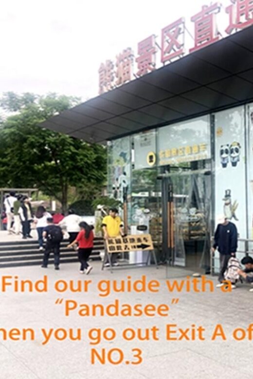 Chengdu panda base half day tour - Key Points