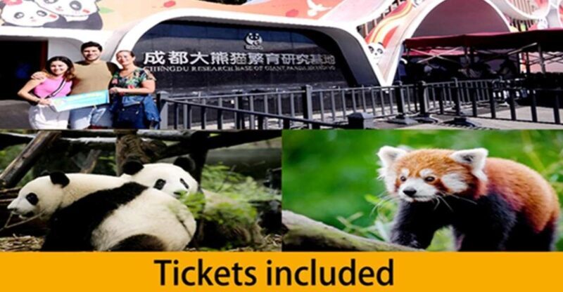 Chengdu panda base half day tour - Whats Included and Whats Not