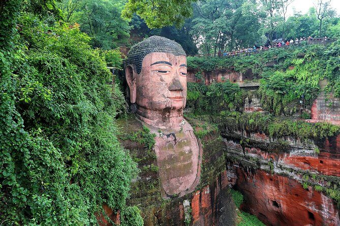 Chengdu: Panda Base Leshan Buddha English-guided Group Tour - An Overview of the Tour Experience
