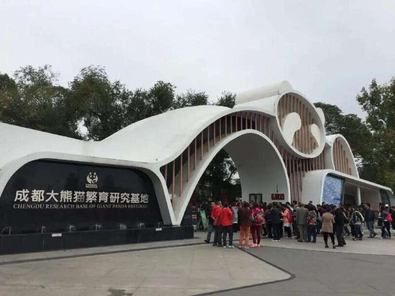 Chengdu: Panda Base Tour/Ticket Only Option - An In-Depth Look at the Panda Base Tour