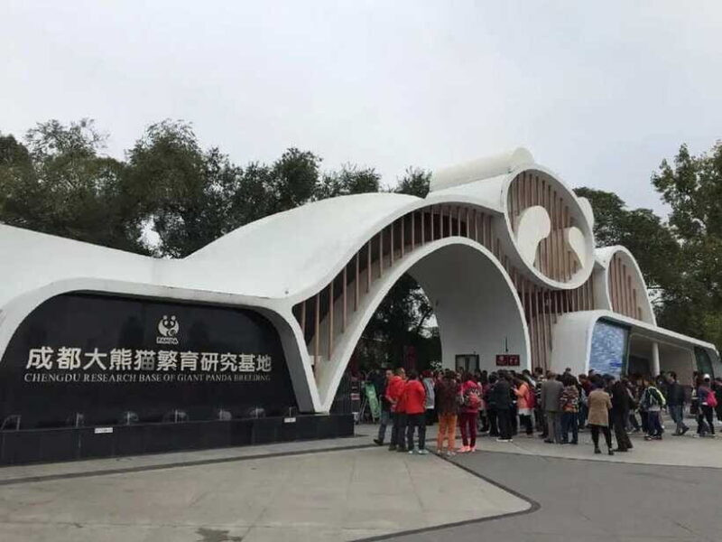 Chengdu: Panda Base Tour/Ticket Only Option - FAQ