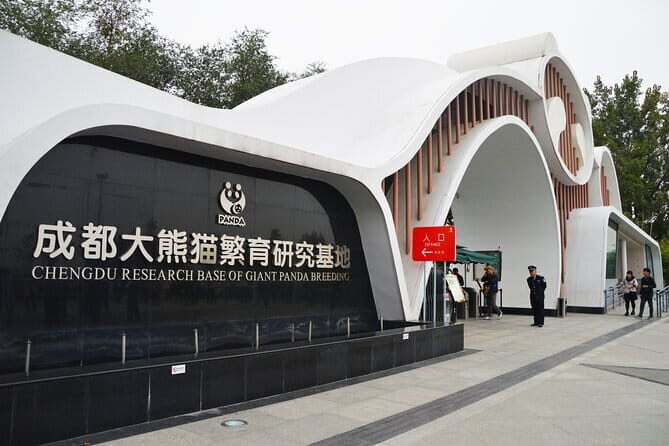 Chengdu Panda Breeding Base Ticket w/ Optional Transfer or Guide - Guided Tours