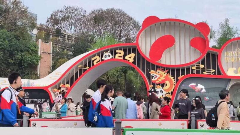 Chengdu: Panda Breeding Base Tickets Booking - The Sum Up: Is It Worth It?