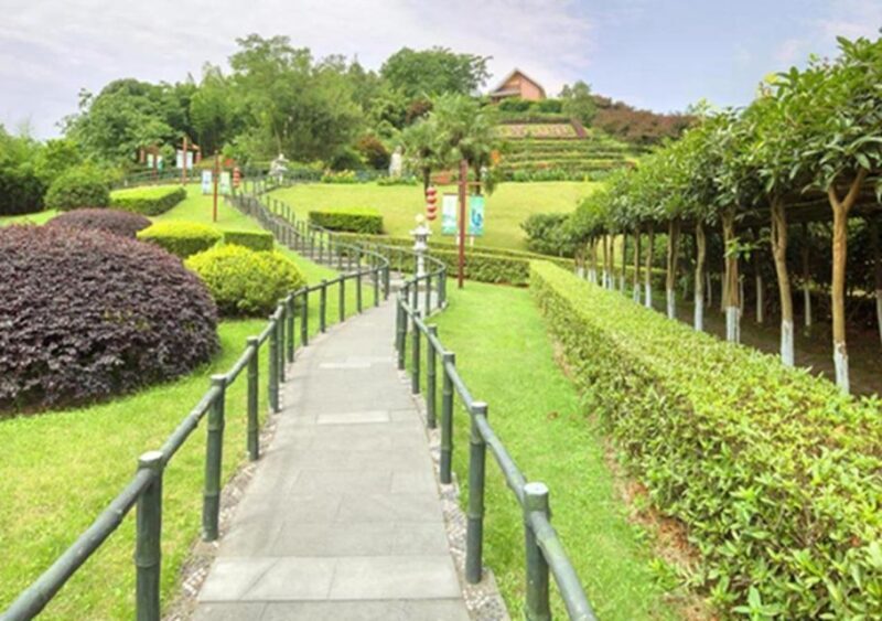 Chengdu panda & Leshan Buddha One Day Private Tour - Transportation, Timing, and Comfort