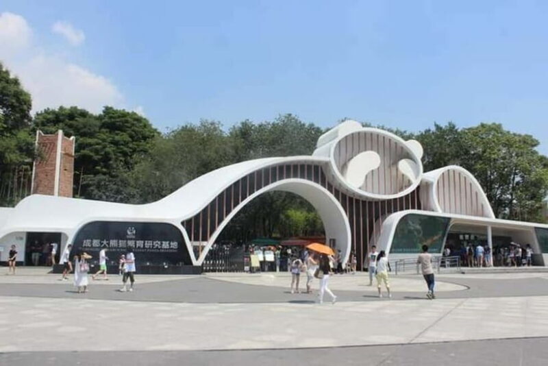 Chengdu: Panda Research Base Ticket or Volunteer Day Trip - Visiting Chengdu Panda Base: What to Expect