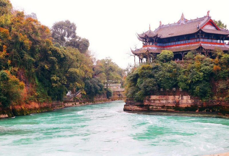 Chengdu: Panda Research Base Ticket or Volunteer Day Trip - Who is This Tour Best For?