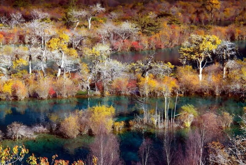 Chengdu: private 2-Day Huanglong Jiuzhaigou tour by train - Final Thoughts: Is This Tour Right for You?