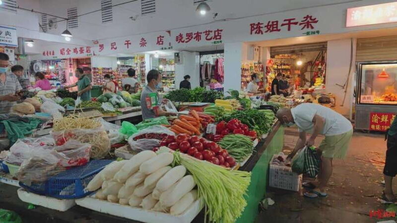 Chengdu: Private Panda Base and Sichuan Cuisine Tour - Who Will Love This Experience?