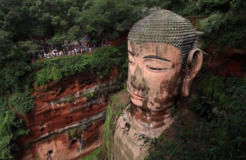 Chengdu Private Tour of Leshan Buddha and Panda Base - Who Will Love This Tour?