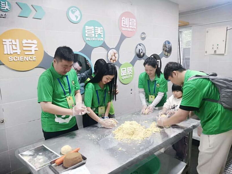 Chengdu: Volunteer Day Experience at Dujiangyan Panda base - Key Points