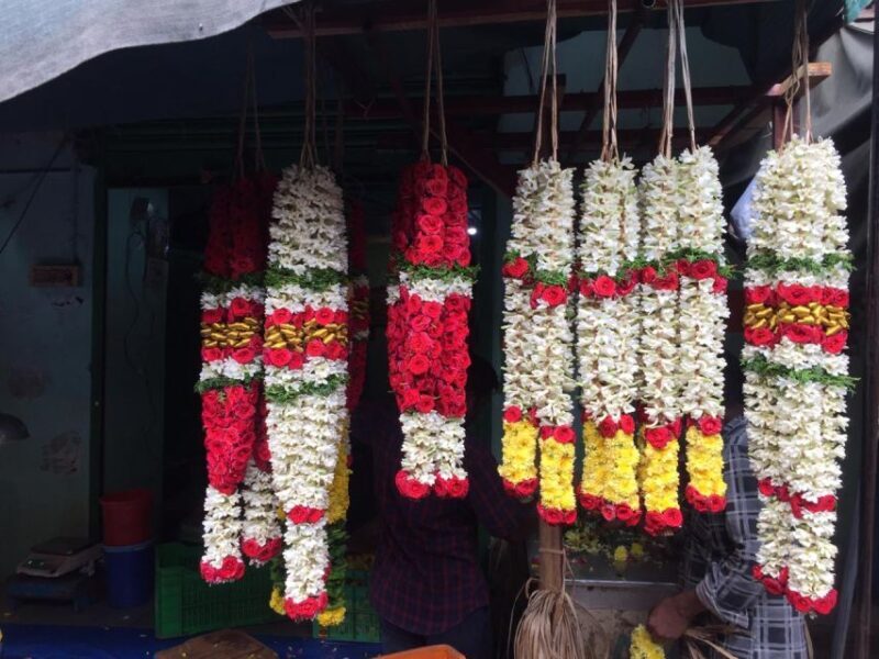 Chennai: Mylapore Walk for an immersive cultural experience - Final Thoughts