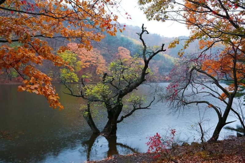 Cheongsong UNESCO GEO Park Hike From Andong - Key Points